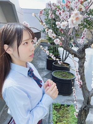 白桃花写真